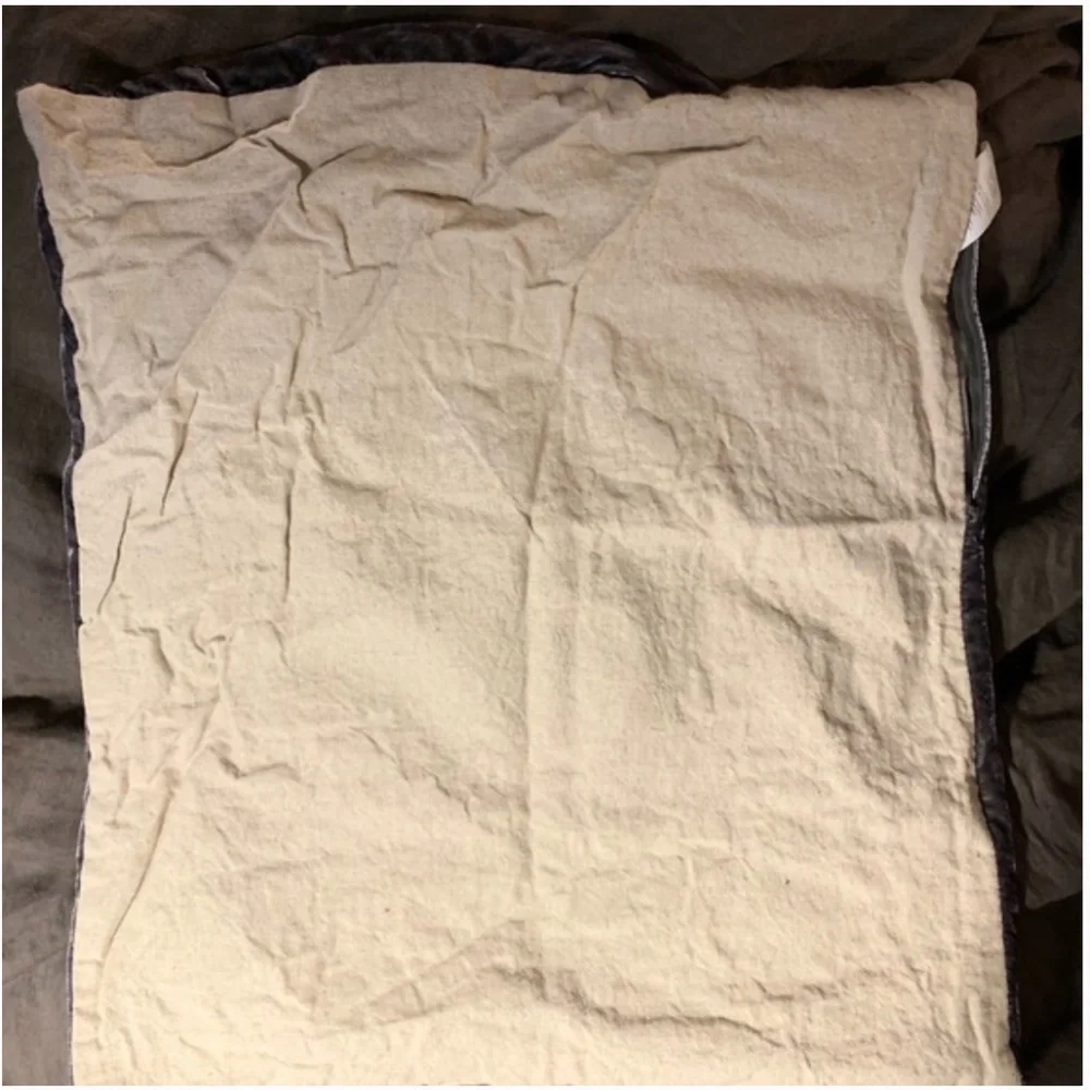 1 West Elm Lush Velvet Pillow Cover Lux